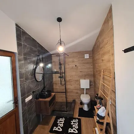 The House Temeşvar
