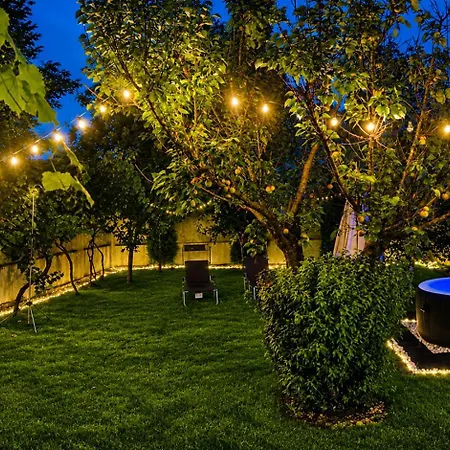 The House * Timisoara