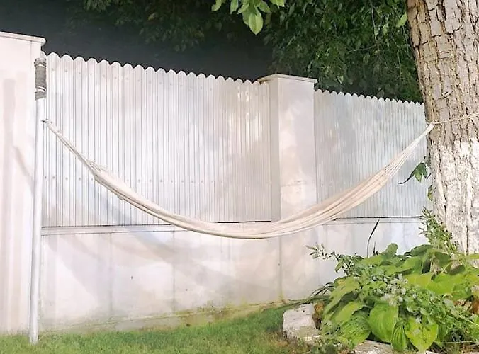 The House فيلة تيميشورا