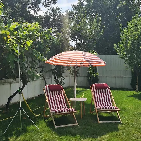 The House Тимишоара